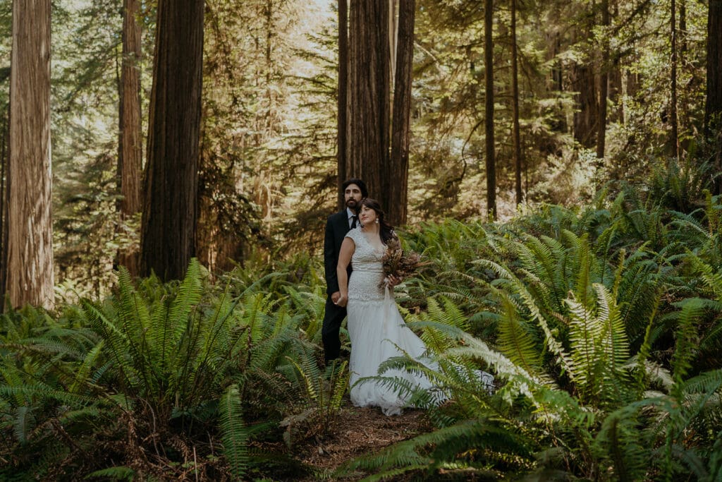 Couple standing hand in hand among lush ferns in the redwoods, surrounded by towering trees and golden forest light.